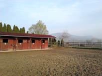 Lovaglás,lovasoktatás,lovastáborok 